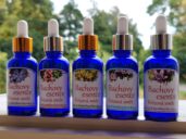 Rescue Remedy Bachova krizová esence